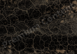 High Resolution Decals Textures 0039